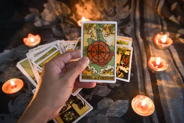 tarot cards University City